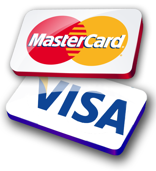 mastercard and visa icon 1